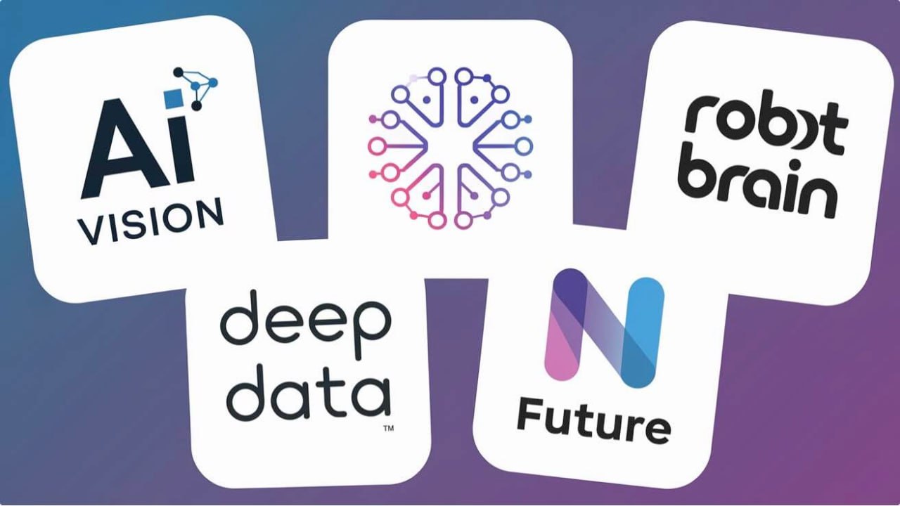 赛道9：欺诈猎手